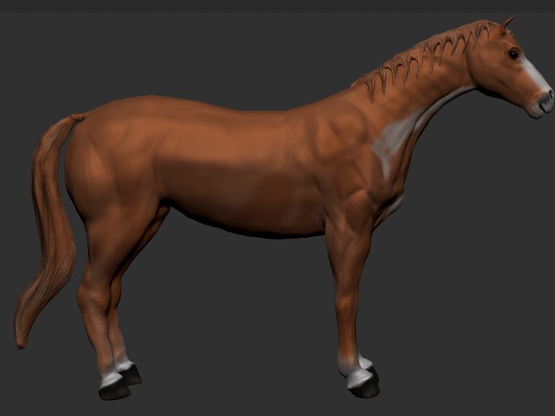 Portfolio 3d model horse LAVRIV-COM 2